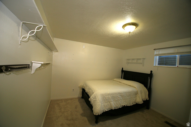 1612 East 450 South Springville, UT 84663 - Photo 35 of 48 Carpeted room with a ceiling-mounted light fixture, a window with blinds, and built-in shelving