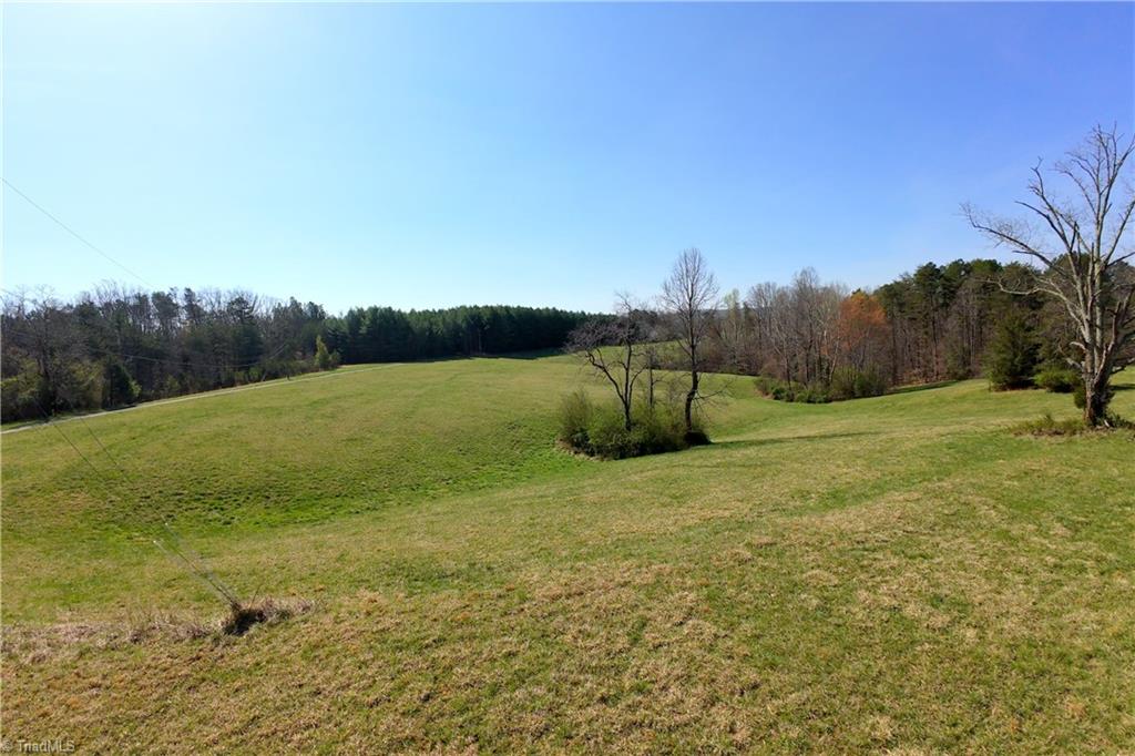 1019-11 George Road Westfield, NC 27053 - Photo 6 of 20