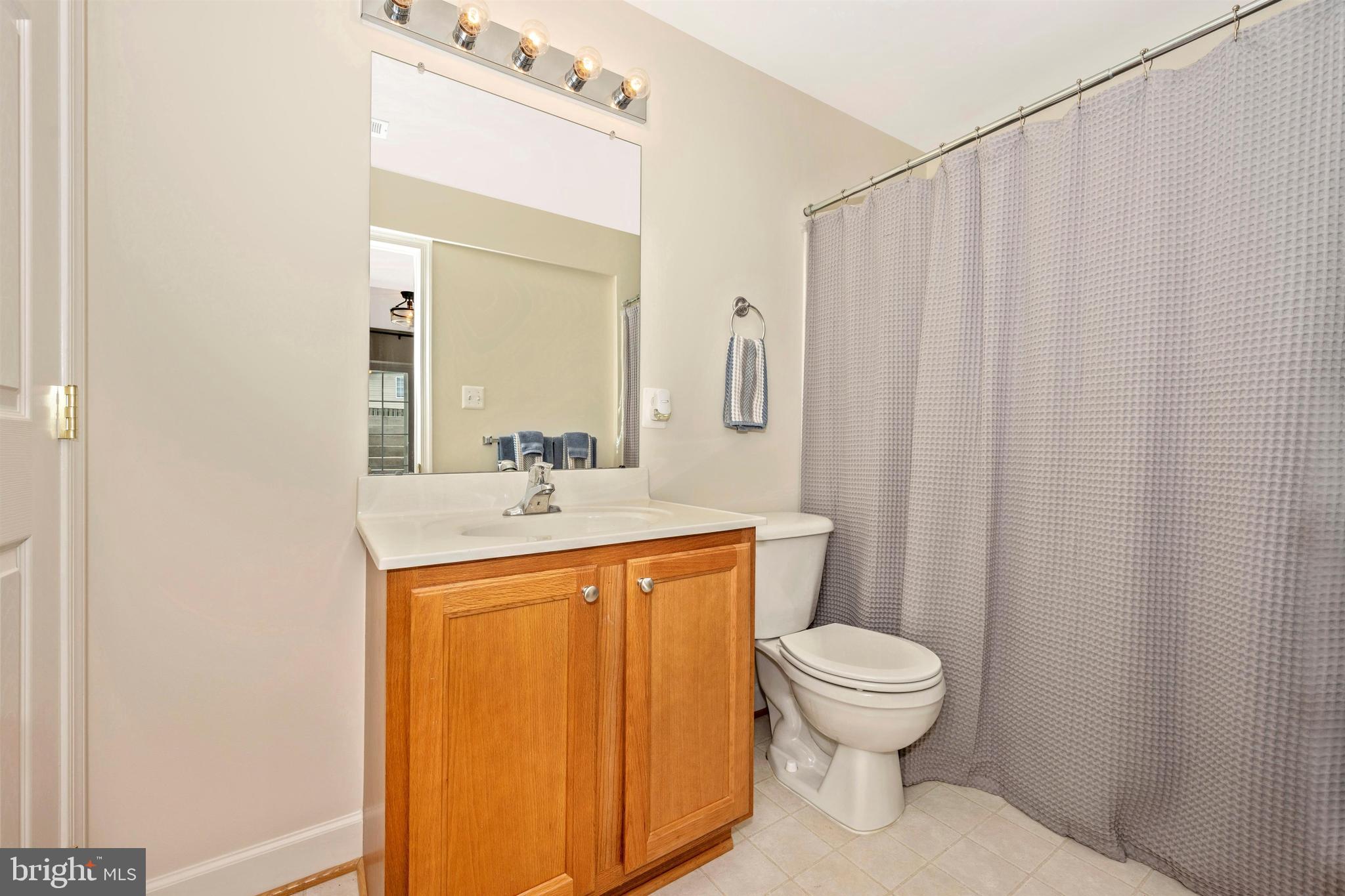 1748 Canal Run Drive Point of Rocks, MD 21777 - Photo 33 of 44 Lower level full bathroom.
