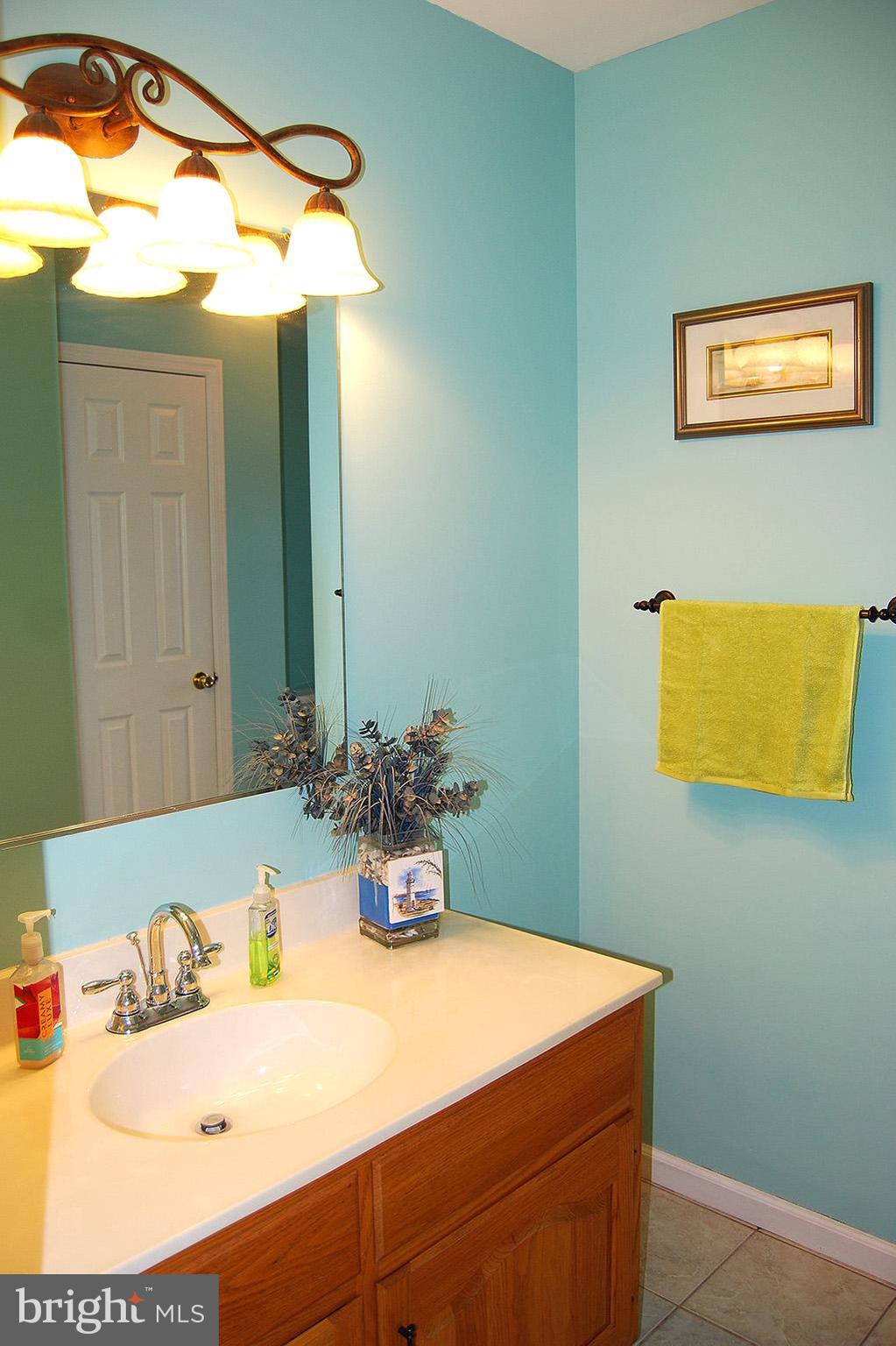 2708 Beacon Drive Sinking Spring, PA 19608 - Photo 26 of 45 Hall bath