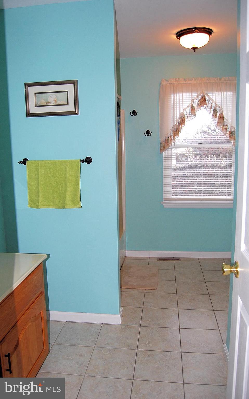 2708 Beacon Drive Sinking Spring, PA 19608 - Photo 27 of 45 Hall bath