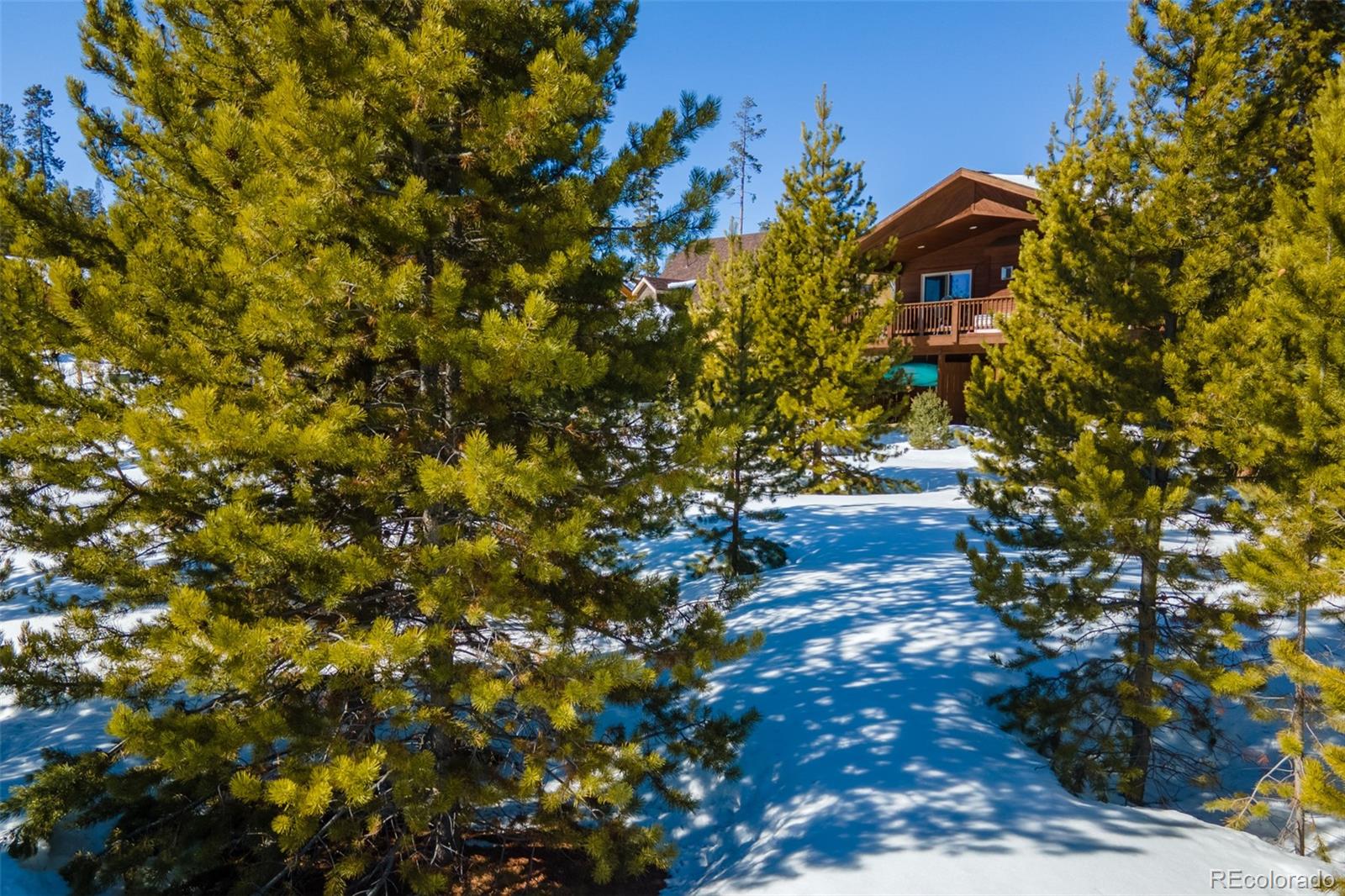 34 Gcr 4573 Grand Lake, CO 80447 - Photo 6 of 9 a view of a tree with a yard