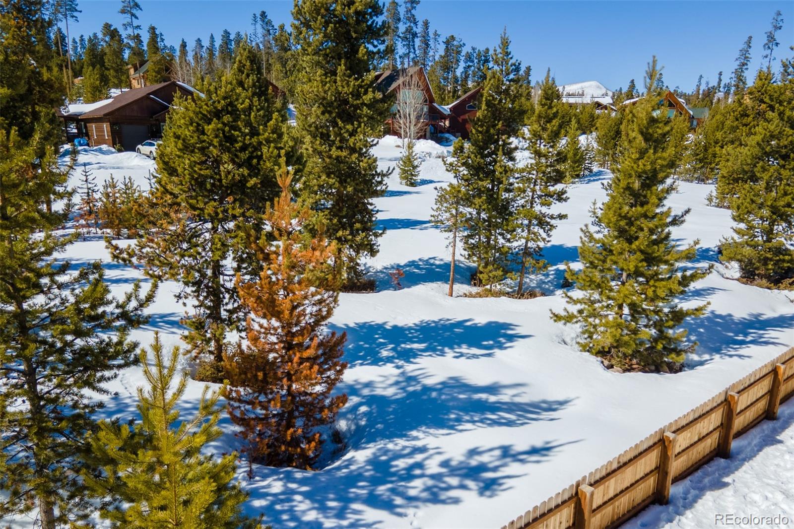 34 Gcr 4573 Grand Lake, CO 80447 - Photo 9 of 9 a view of a tree with a plant