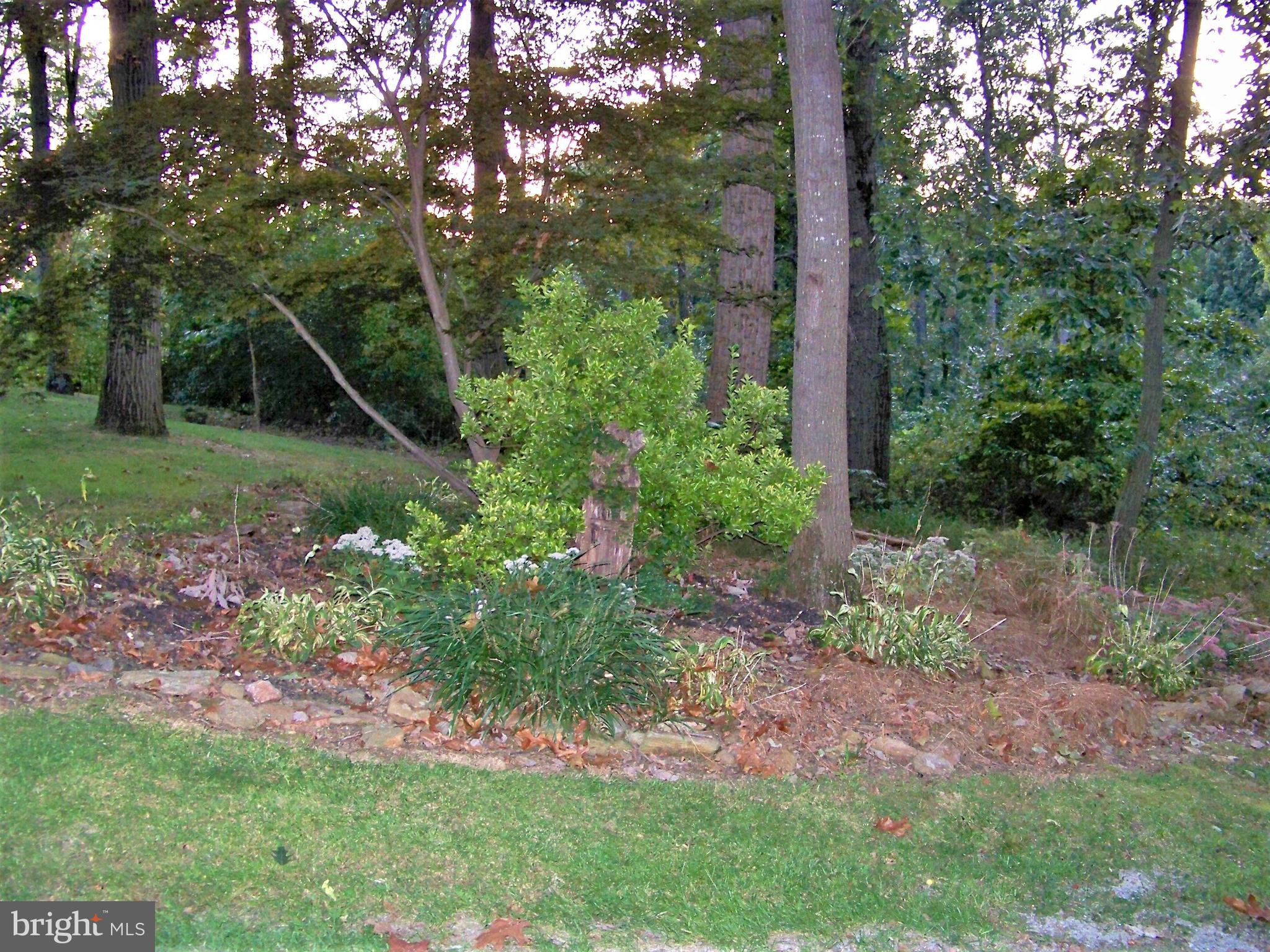 3552 Oscars Road Brogue, PA 17309 - Photo 50 of 53 Gallery Image 50