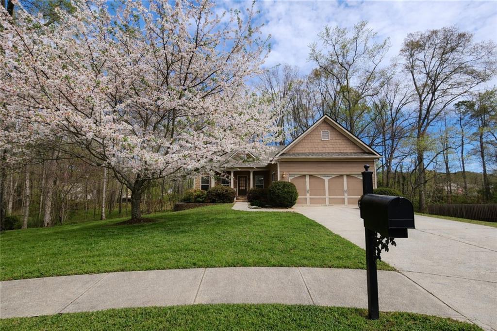 a front view of house with yard and green space