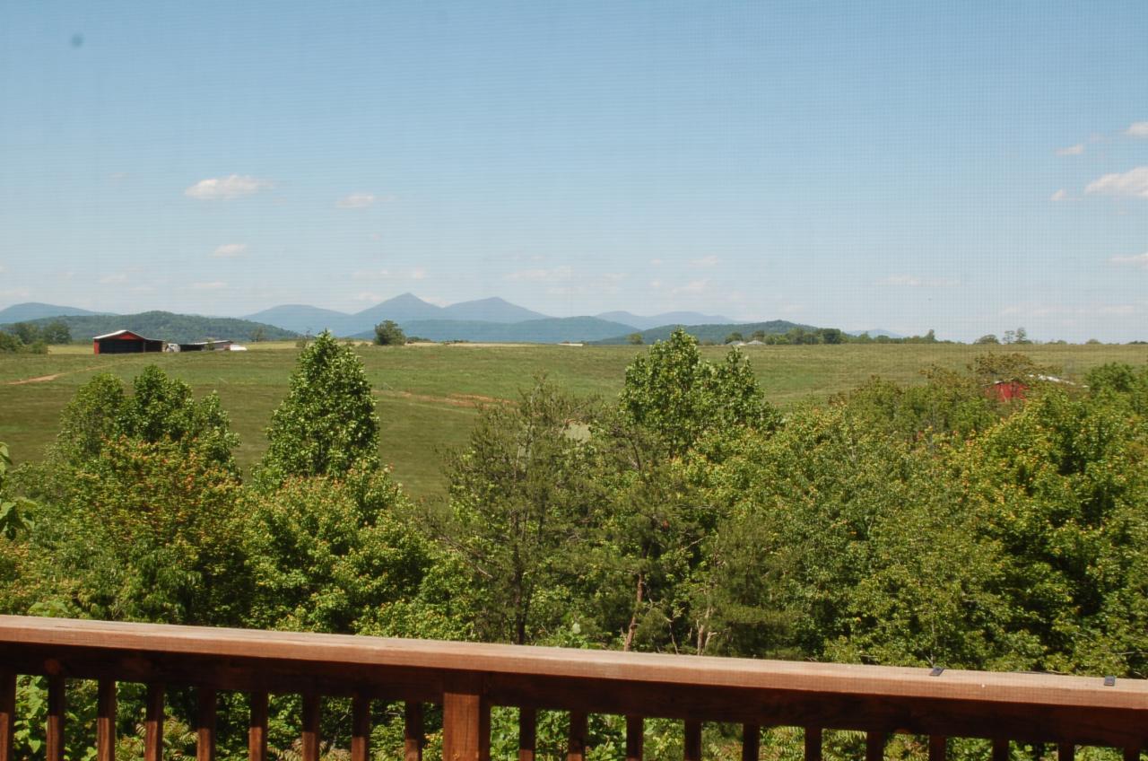 10504 Goodview Road Goodview, VA 24095 - Photo 3 of 13 a view of a forest from a balcony