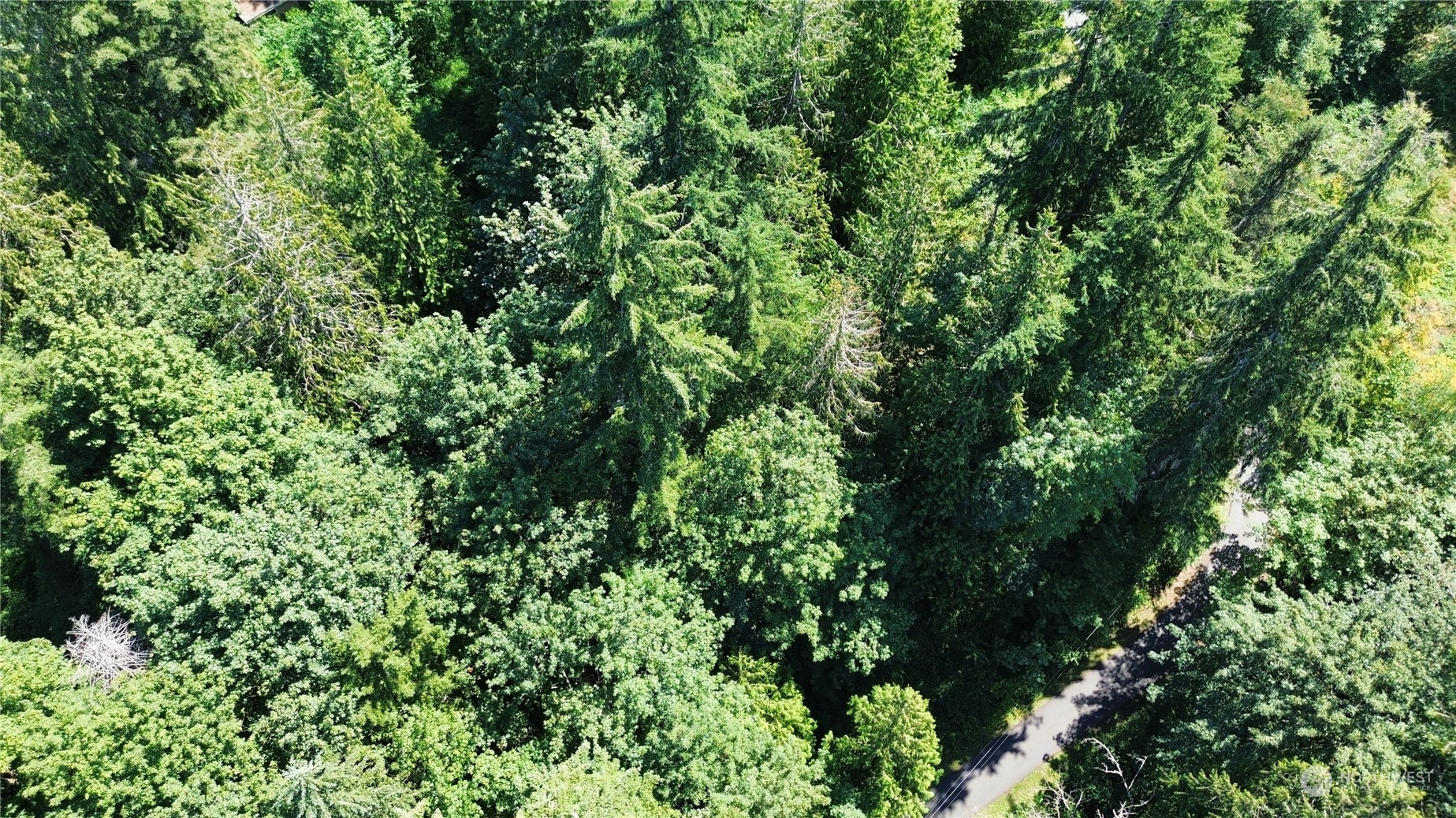 0 Northeast Redmond Road Redmond, WA 98053 - Photo 12 of 16
