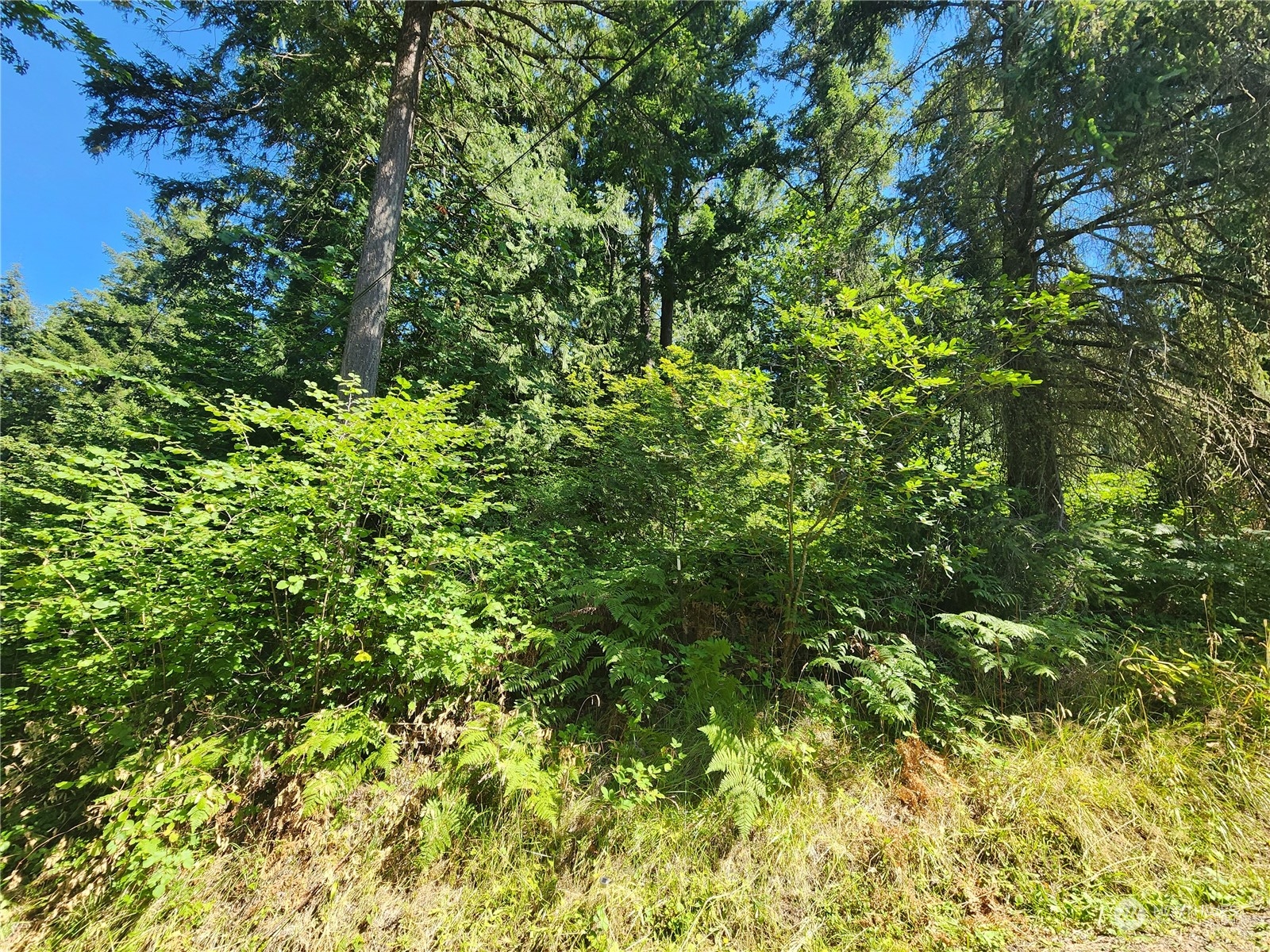 0 Northeast Redmond Road Redmond, WA 98053 - Photo 4 of 16