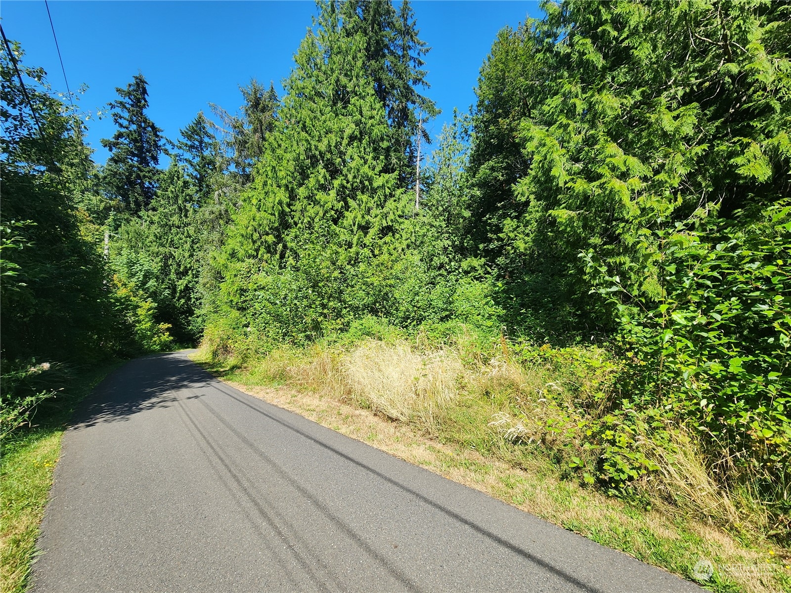 0 Northeast Redmond Road Redmond, WA 98053 - Photo 5 of 16