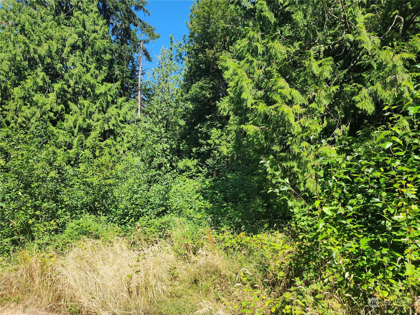 0 Northeast Redmond Road Redmond, WA 98053 - Photo 6 of 16