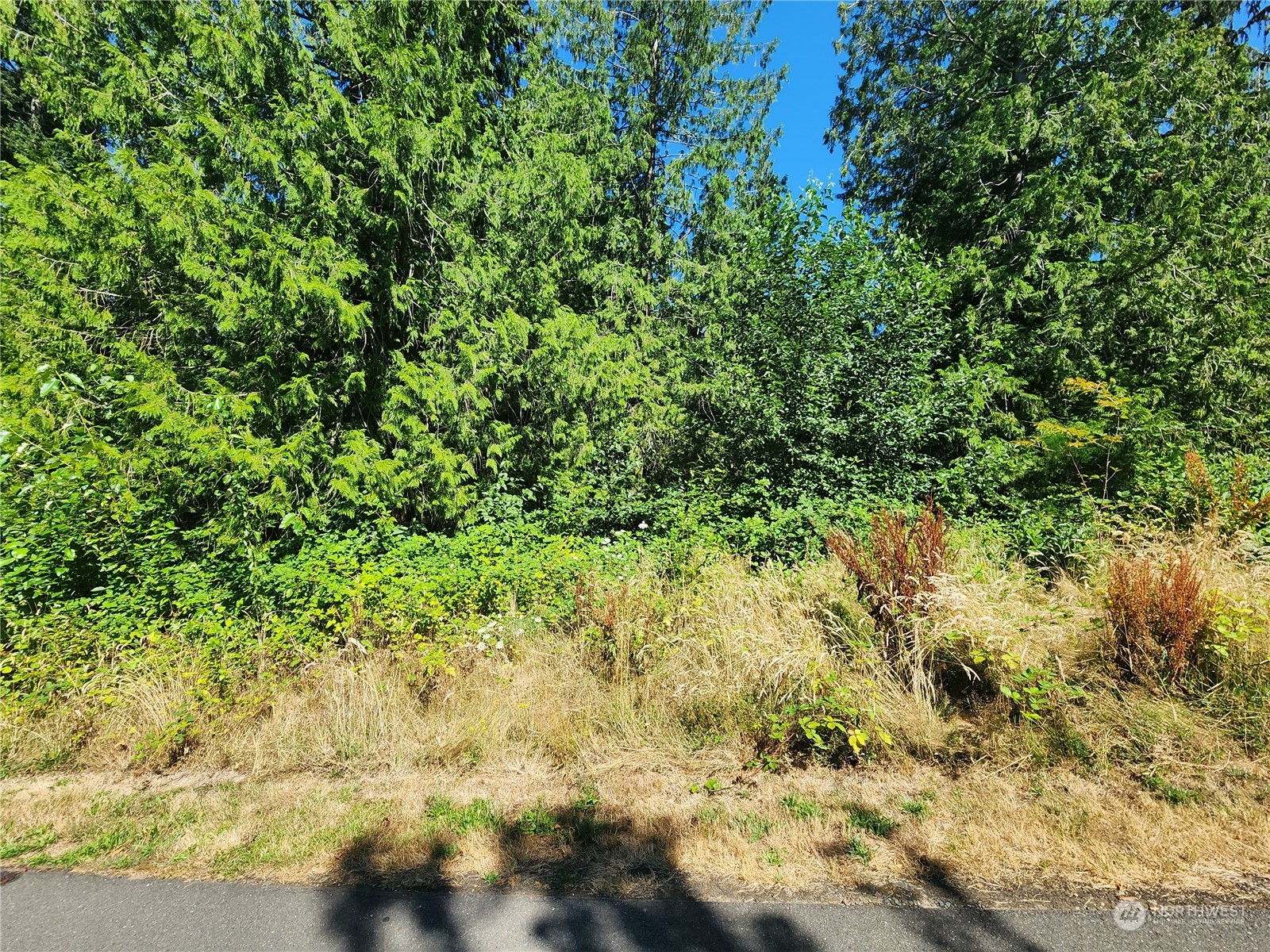 0 Northeast Redmond Road Redmond, WA 98053 - Photo 7 of 16