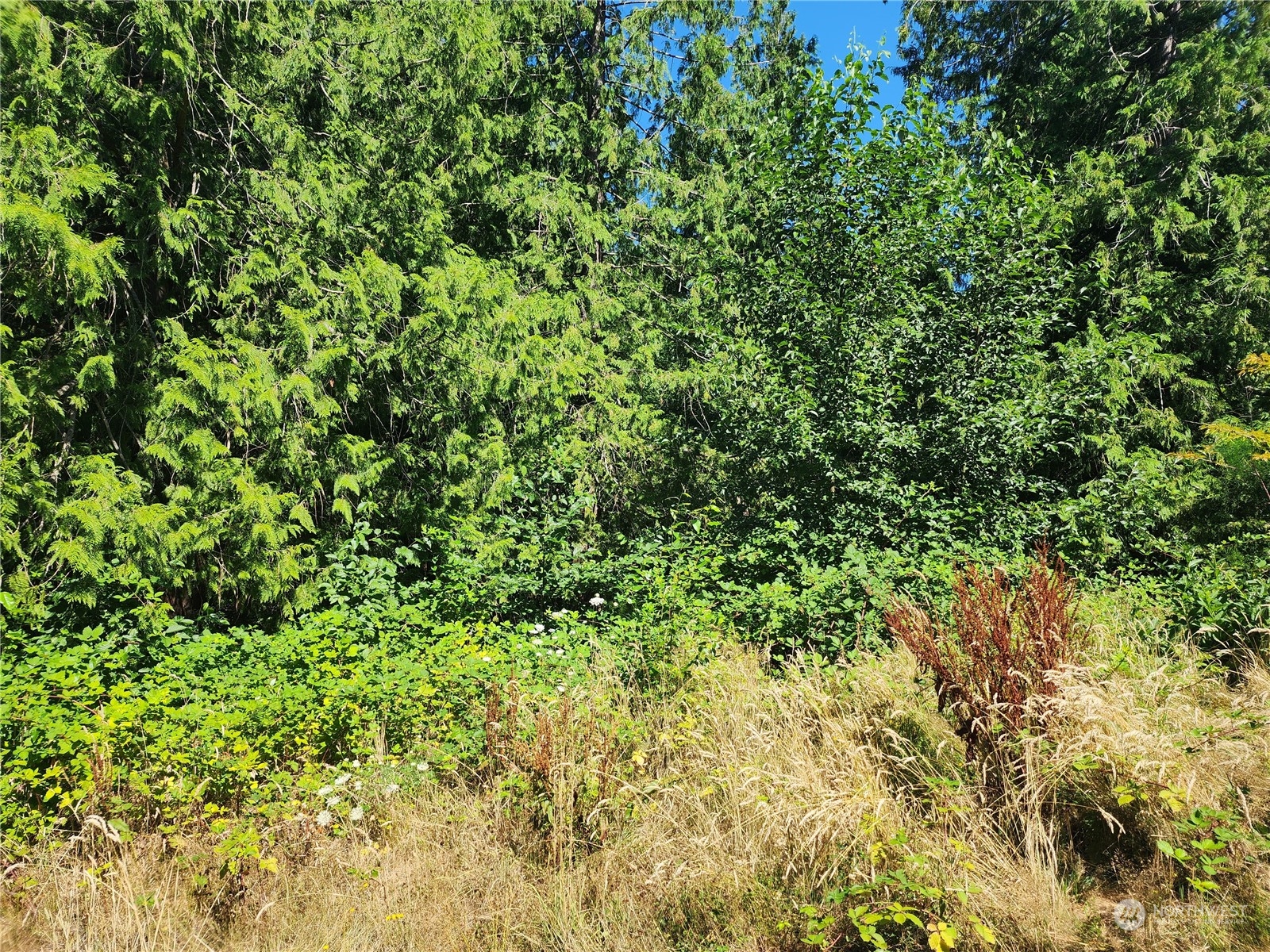 0 Northeast Redmond Road Redmond, WA 98053 - Photo 8 of 16