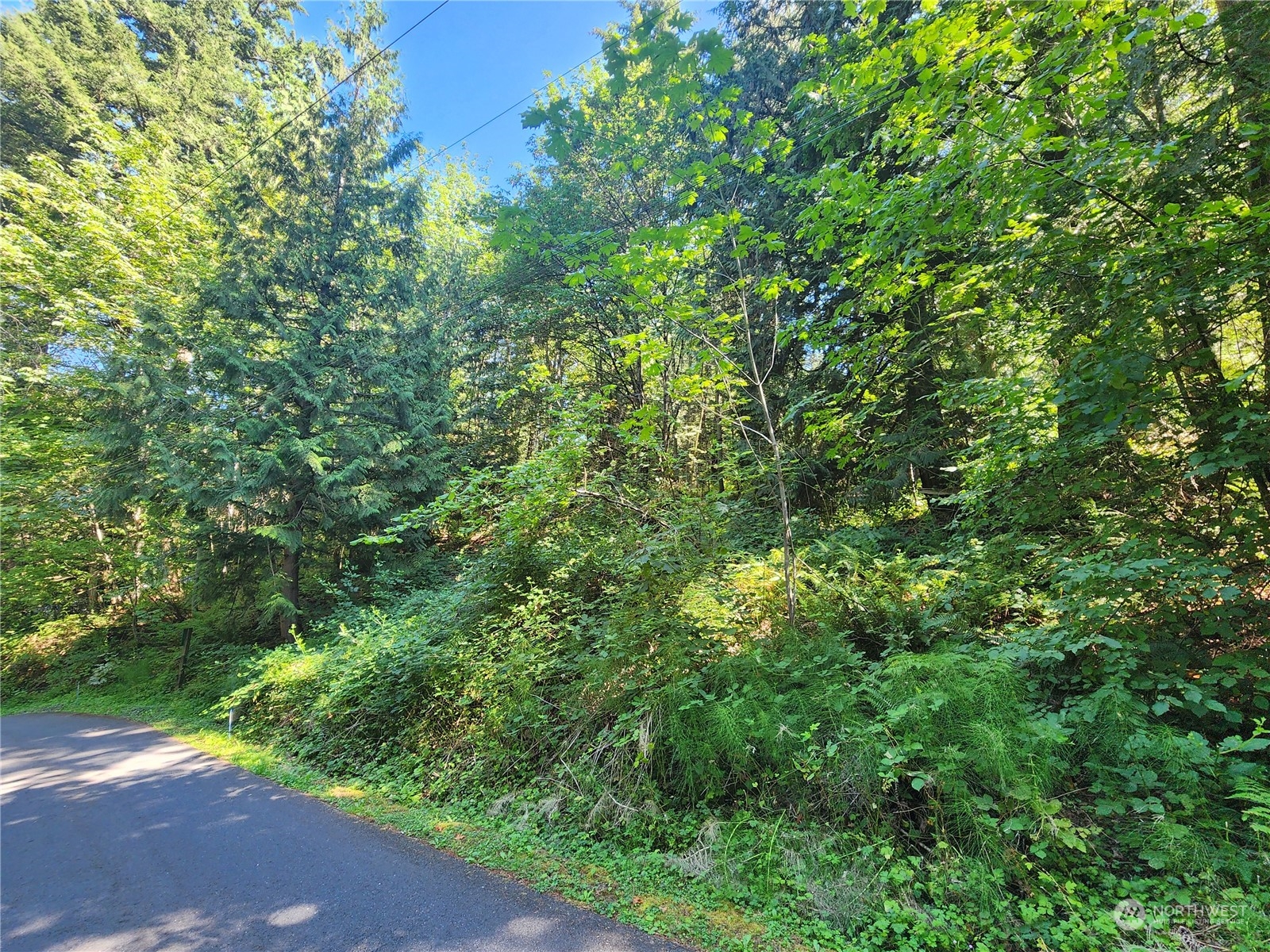 0 Northeast Redmond Road Redmond, WA 98053 - Photo 9 of 16