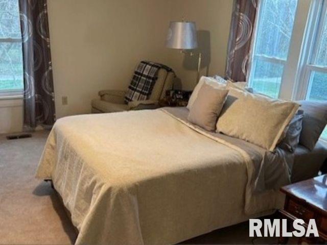 1520 Body Barn Road Anna, IL 62906 - Photo 23 of 31