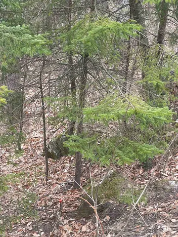 $35,000 | 2-49 East Ash Road, Plymouth, VT 05056