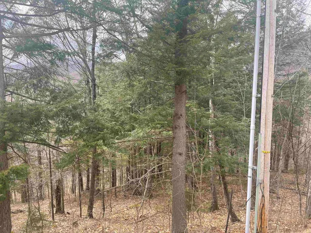 $35,000 | 2-49 East Ash Road, Plymouth, VT 05056