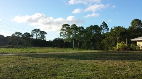 15201 85th Road North Loxahatchee, FL 33470 - Photo 20 of 20 Side yard