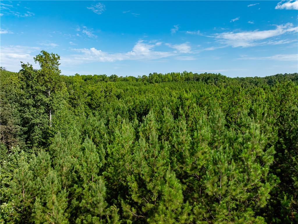 3 Bayshore Drive Seneca, SC 29672 - Photo 12 of 24