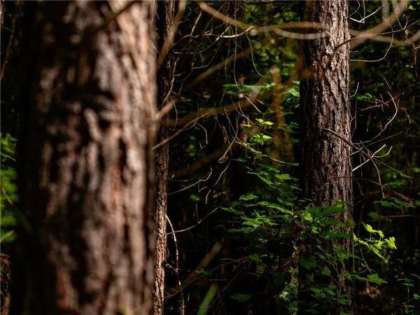 $549,000 | 3 Bayshore Drive, Seneca, SC 29672