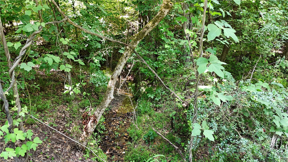 3 Bayshore Drive Seneca, SC 29672 - Photo 24 of 24 One creek on property