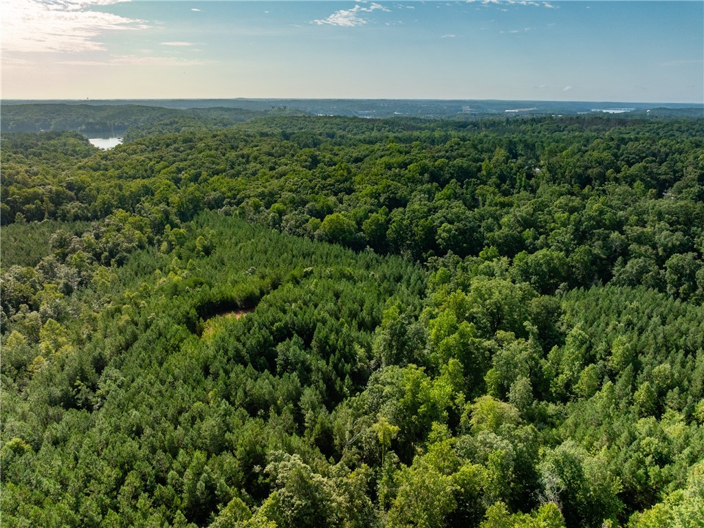 3 Bayshore Drive Seneca, SC 29672 - Photo 3 of 24