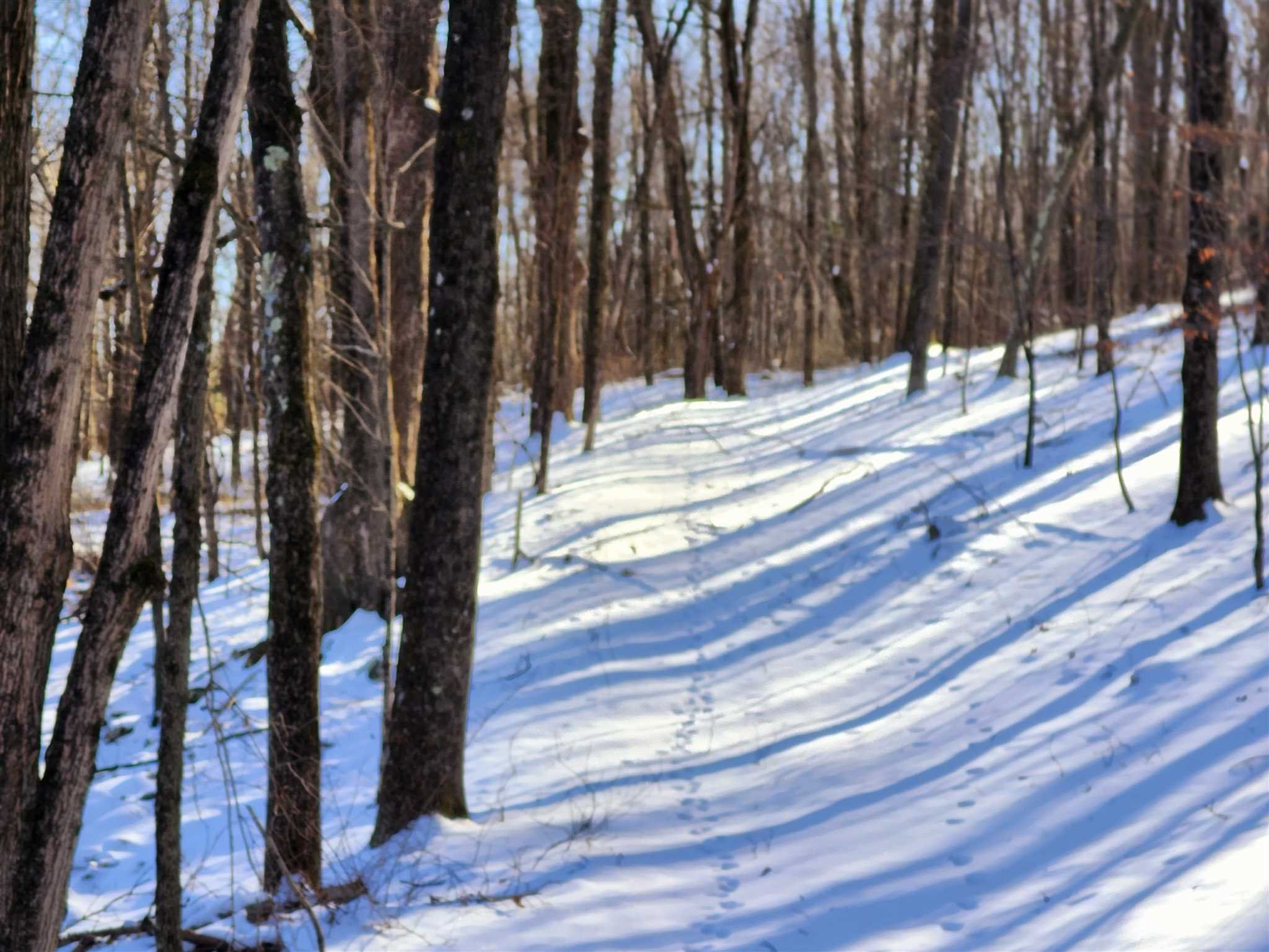 86 Wendover Road Stanford, NY 12581 - Photo 11 of 38 a view of a backyard of the house