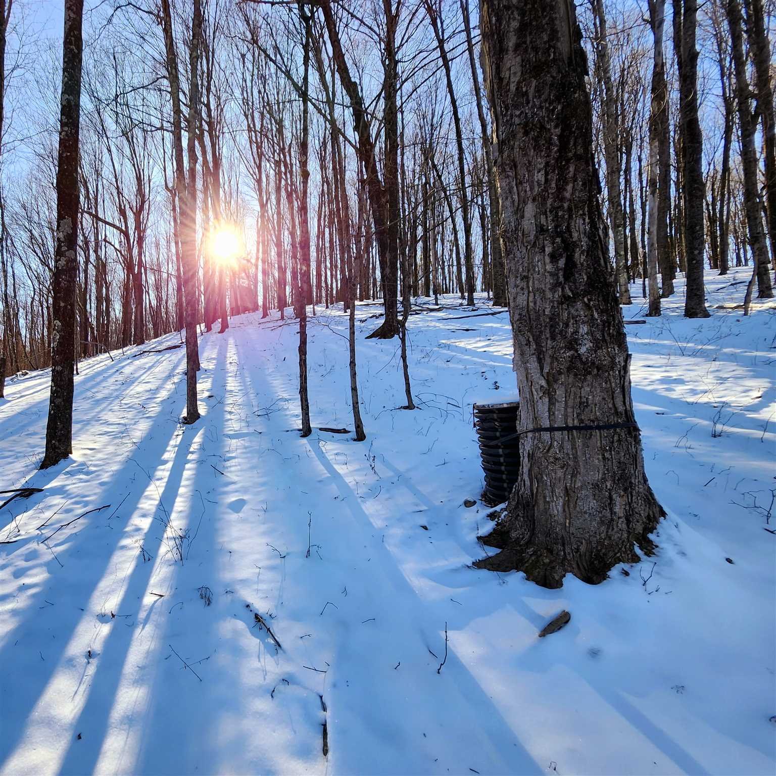86 Wendover Road Stanford, NY 12581 - Photo 14 of 38 a view of outdoor space with wooden floor