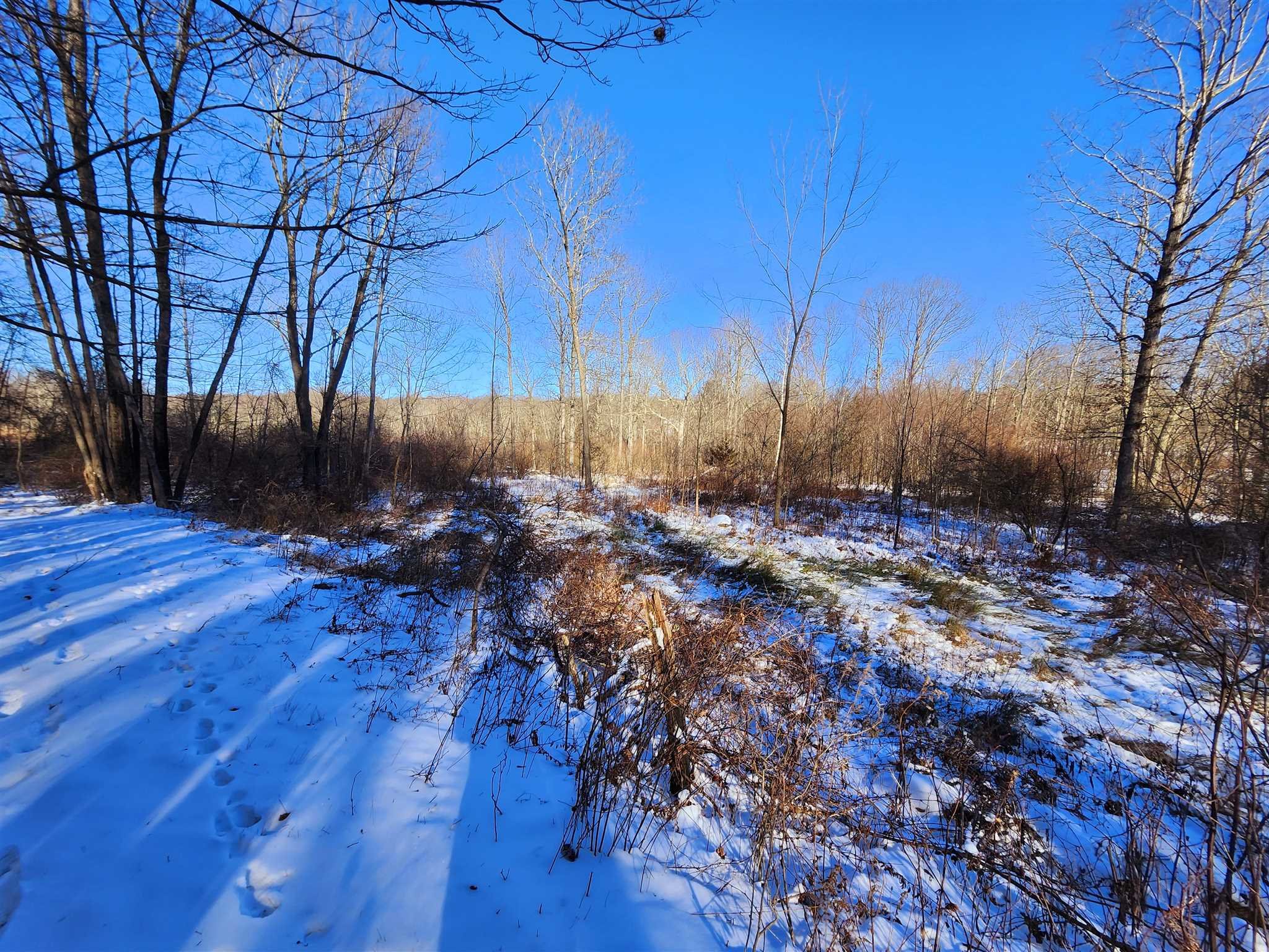 86 Wendover Road Stanford, NY 12581 - Photo 15 of 38 a view of a backyard
