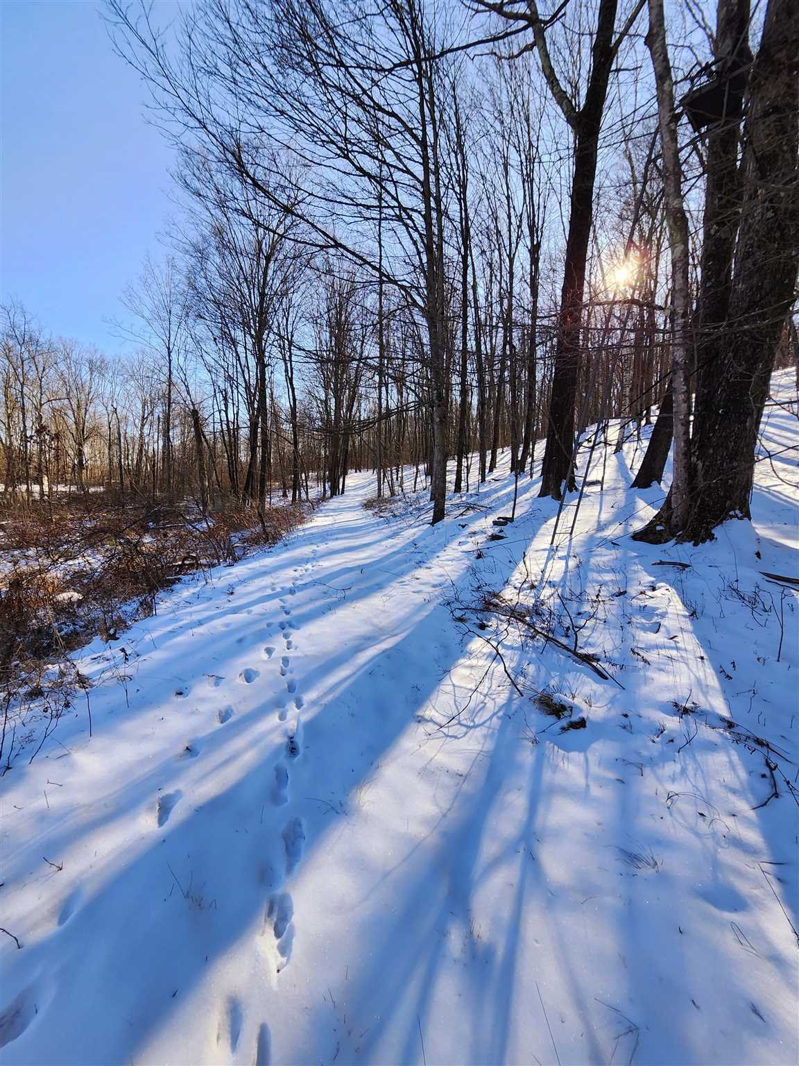 86 Wendover Road Stanford, NY 12581 - Photo 17 of 38 a view of a park with trees