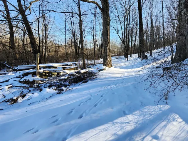 a view of a yard with trees
