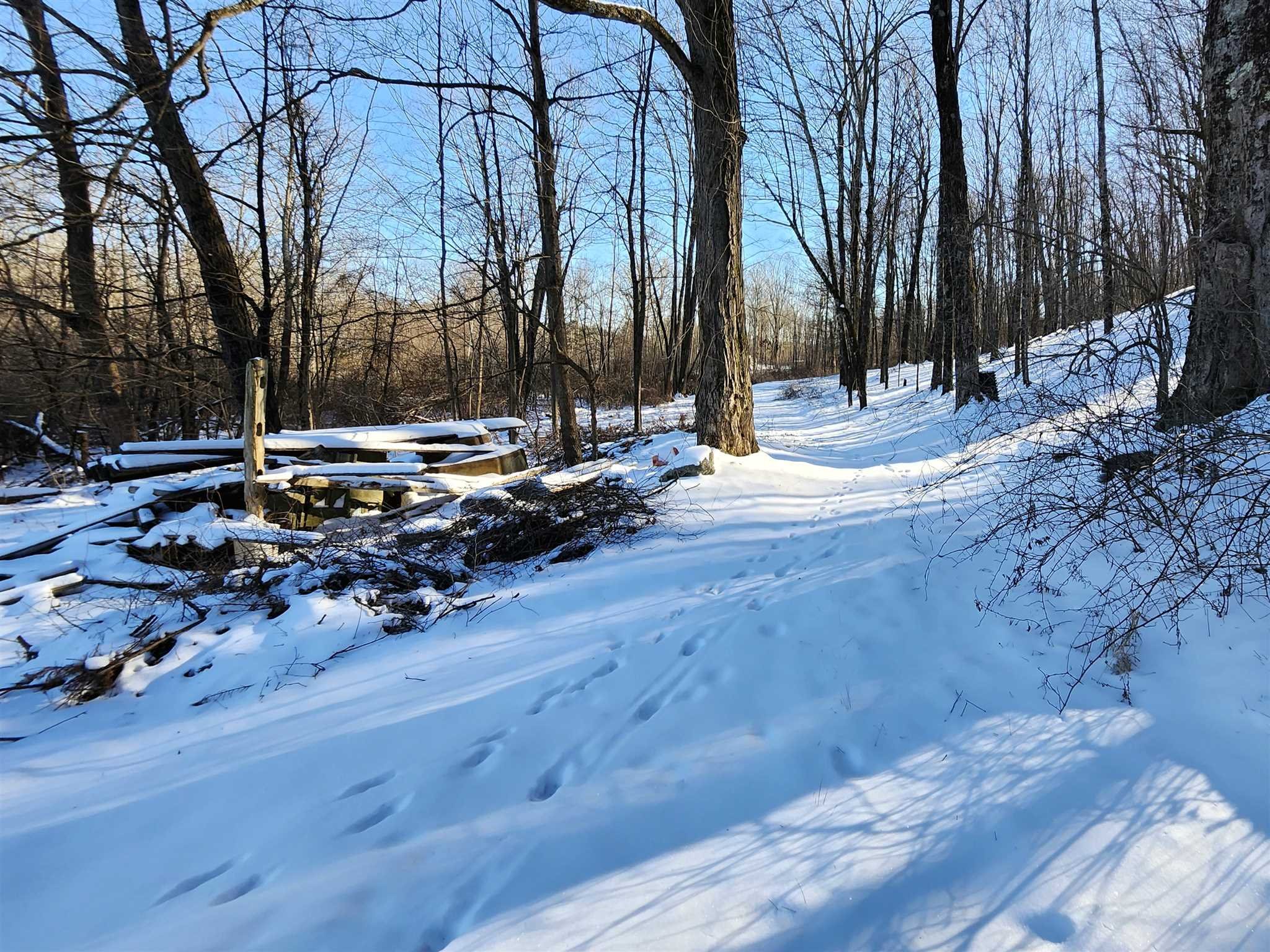 86 Wendover Road Stanford, NY 12581 - Photo 18 of 38 a view of a yard with trees