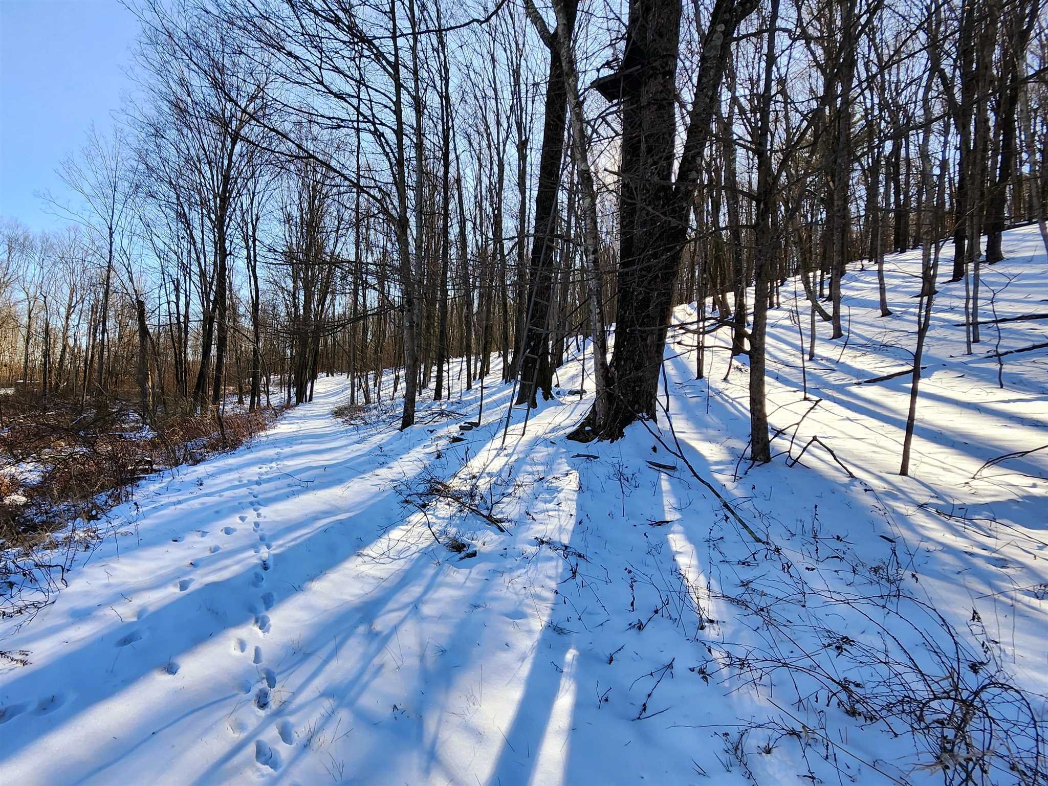 86 Wendover Road Stanford, NY 12581 - Photo 19 of 38 a view of outdoor space with seating area