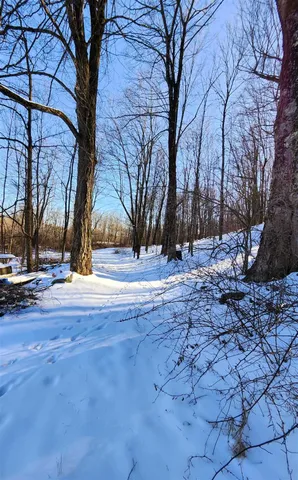 a view of road with trees