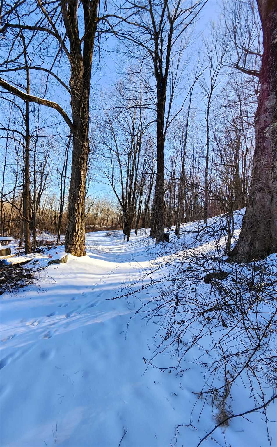 86 Wendover Road Stanford, NY 12581 - Photo 20 of 38 a view of road with trees