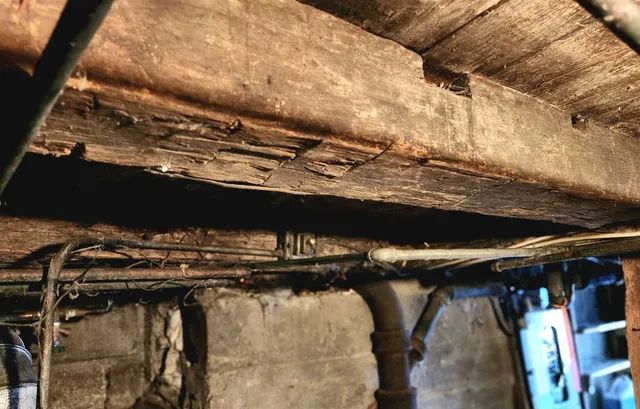 a close up of a table