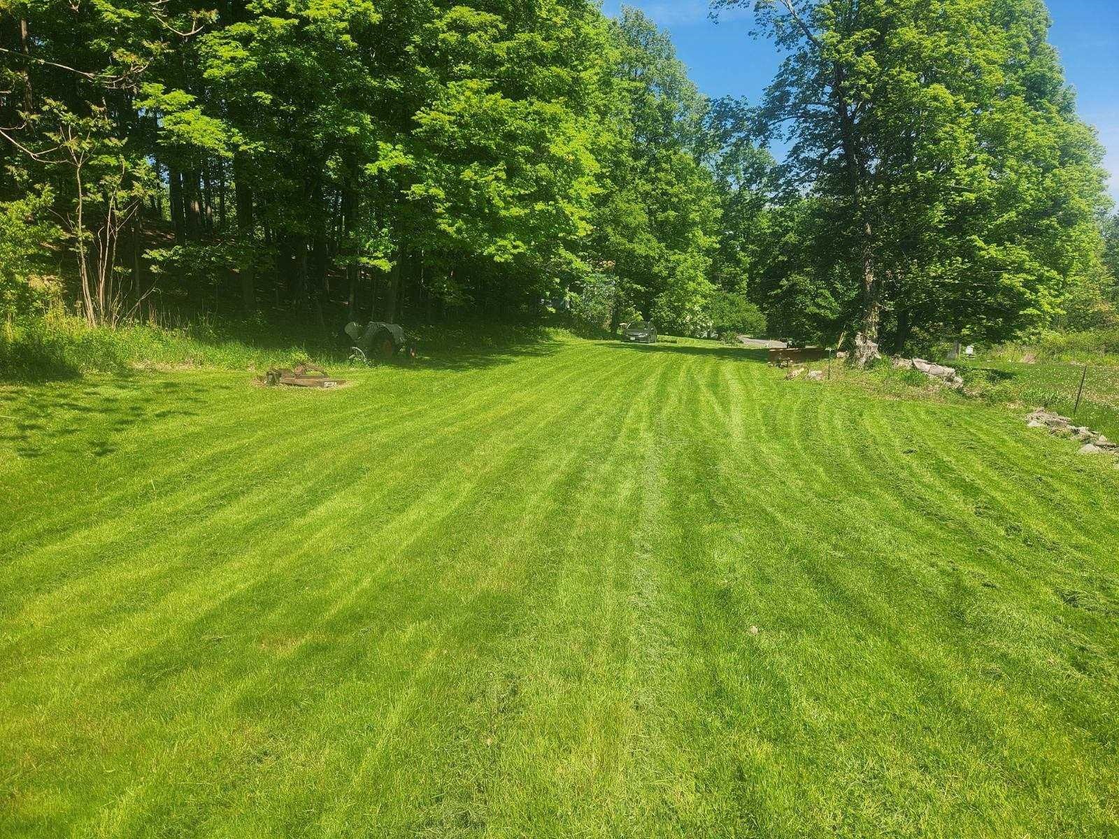 86 Wendover Road Stanford, NY 12581 - Photo 36 of 38 a view of yard from a big yard