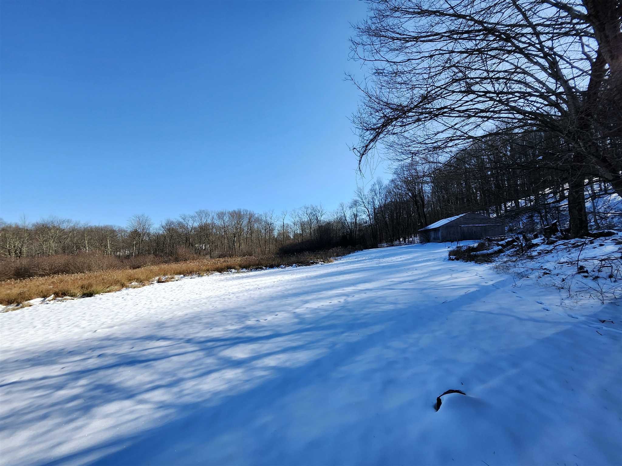 86 Wendover Road Stanford, NY 12581 - Photo 8 of 38 a backyard of a house with lots of green space