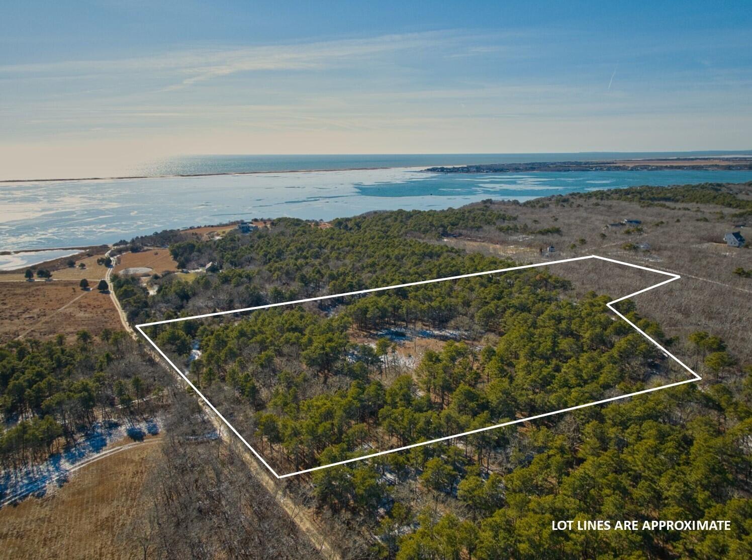 21 Quammox Road Edgartown, MA 02539 - Photo 8 of 10 a view of a forest