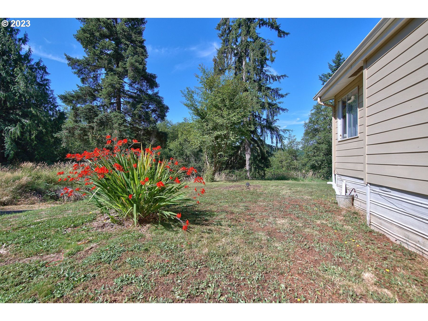 71994 Beaver Springs Road Rainier, OR 97048 - Photo 36 of 37 a view of a backyard