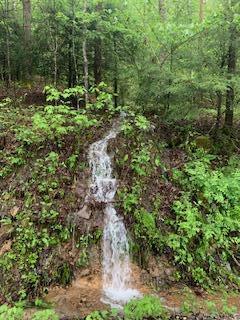 465 Anderson Cemetery Road Livingston, KY 40445 - Photo 20 of 200 IMG_0112