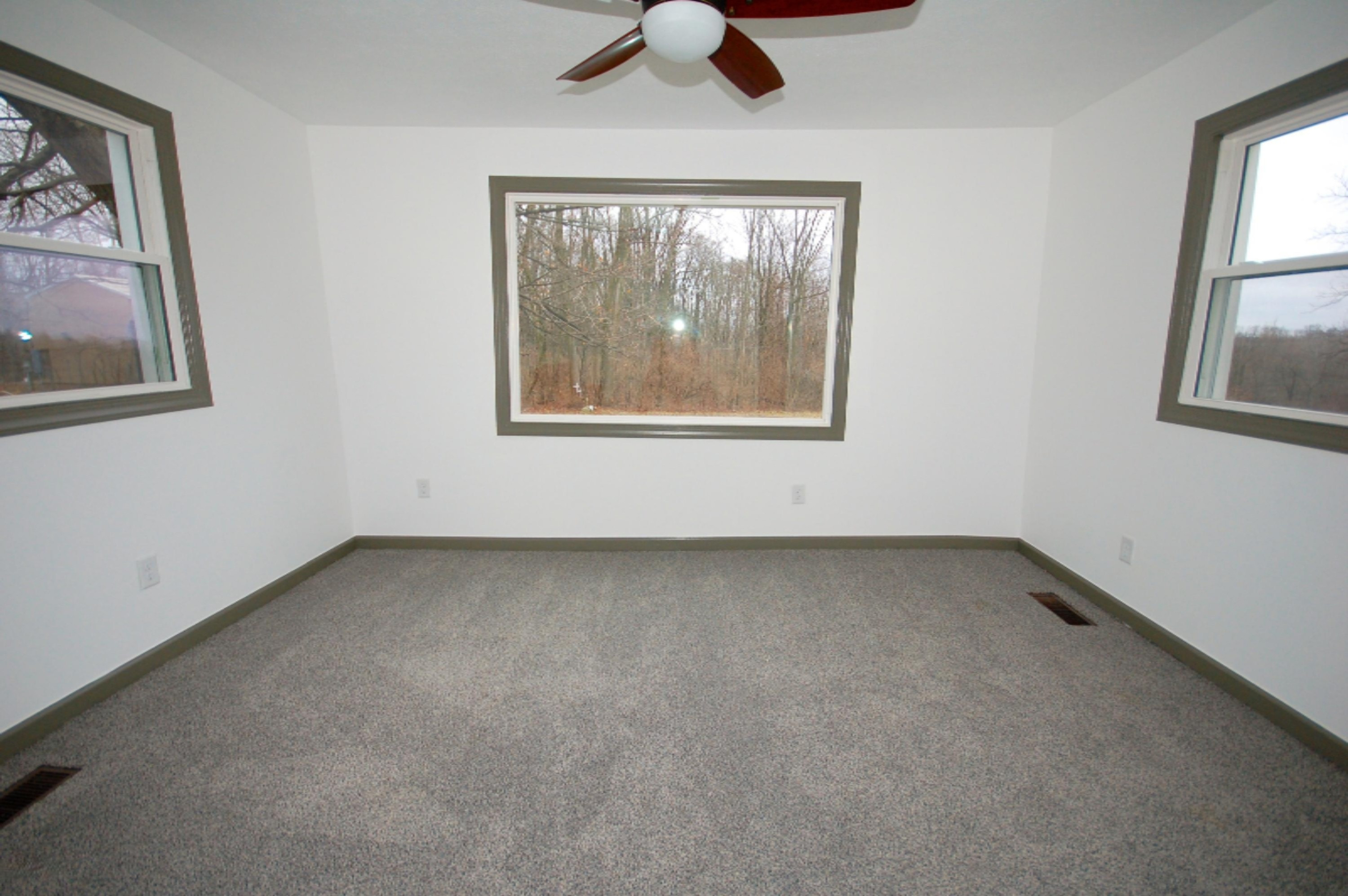 16882 Rynearson Street Buchanan, MI 49107 - Photo 8 of 20 16882_RynearsonSt_11