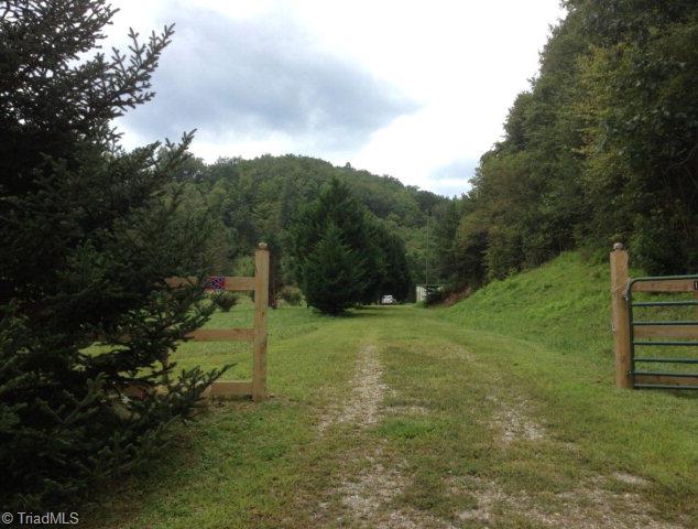 Main View