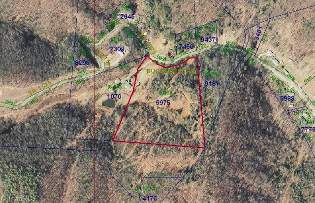 1223 Buckwheat Road McGrady, NC 28649 - Photo 11 of 12 Closeup Map