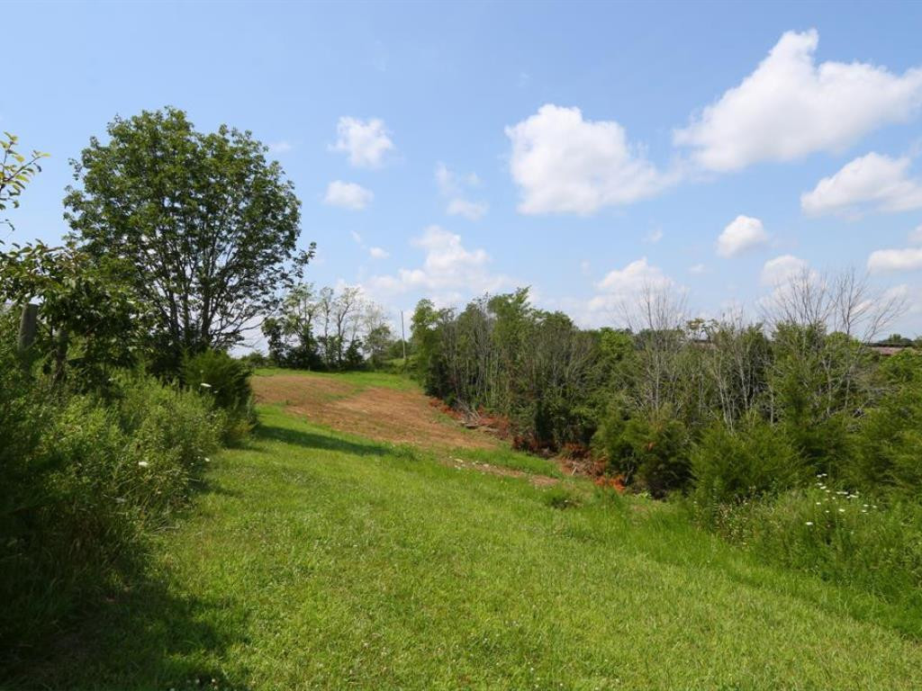 2285 Chipman Ridge Road Williamstown, KY 41097 - Photo 20 of 29