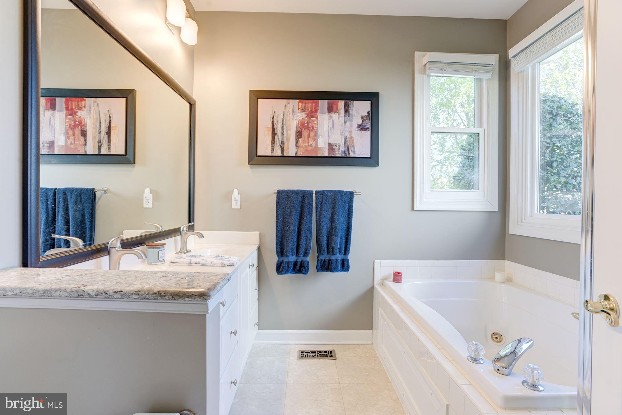 1512 Chapman Road Crofton, MD 21114 - Photo 14 of 36 Primary Bath