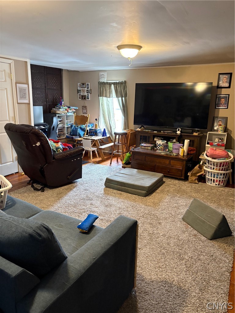 61 Border City Road Waterloo, NY 14456 - Photo 21 of 22 living room