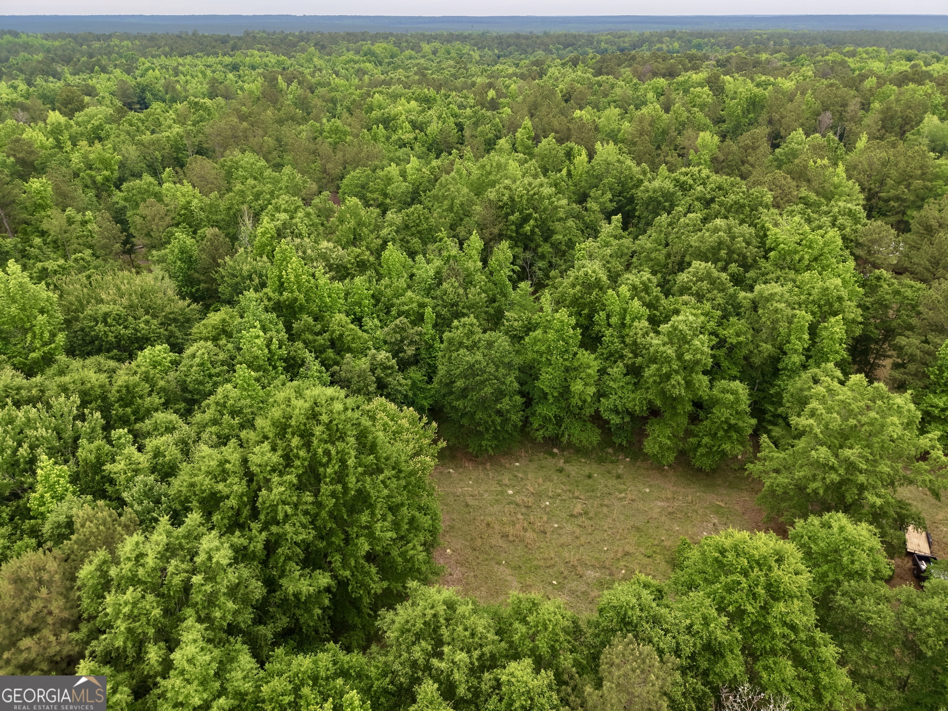 715 Fulsome Creek Road Sparta, GA 31087 - Photo 34 of 117