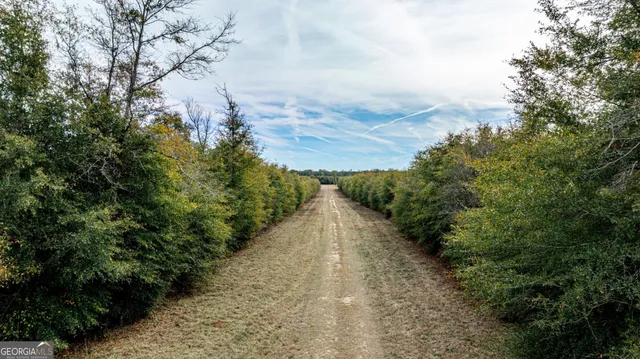 a view of a pathway with a yard