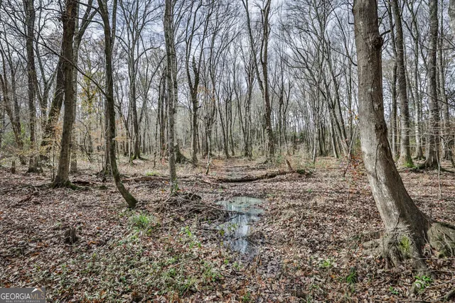 a view of outdoor space with lots of trees