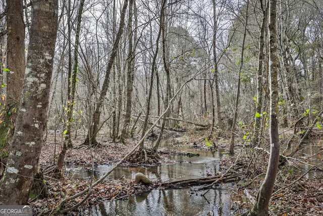a view of outdoor space with lots of trees